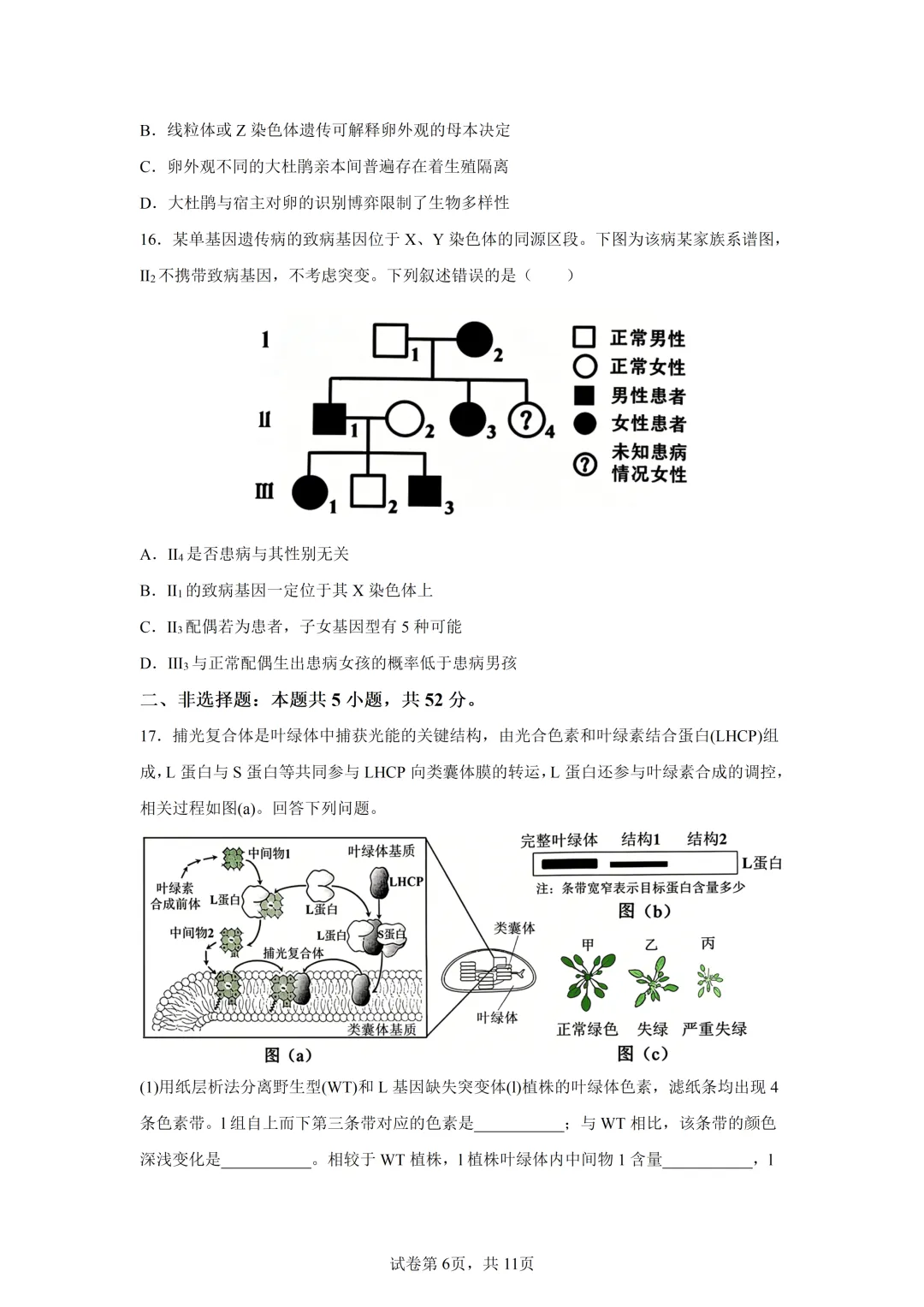 高考真题|2026年陕西省高考生物试卷(含解析)-第6张图片-四季读书网