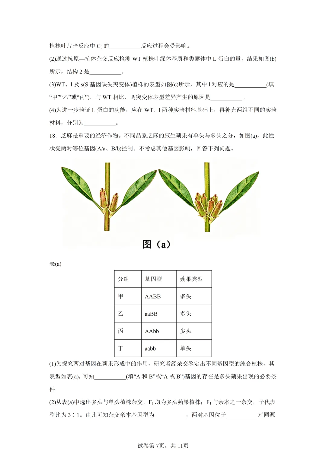 高考真题|2026年陕西省高考生物试卷(含解析)-第7张图片-四季读书网
