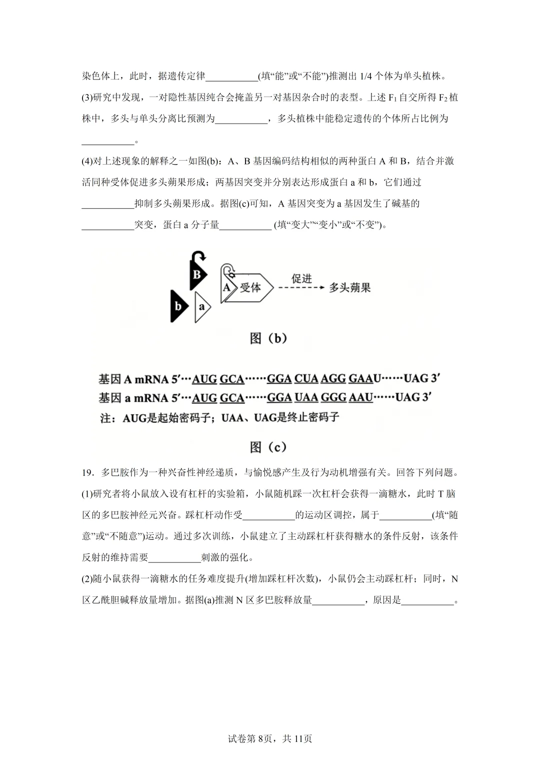高考真题|2026年陕西省高考生物试卷(含解析)-第8张图片-四季读书网