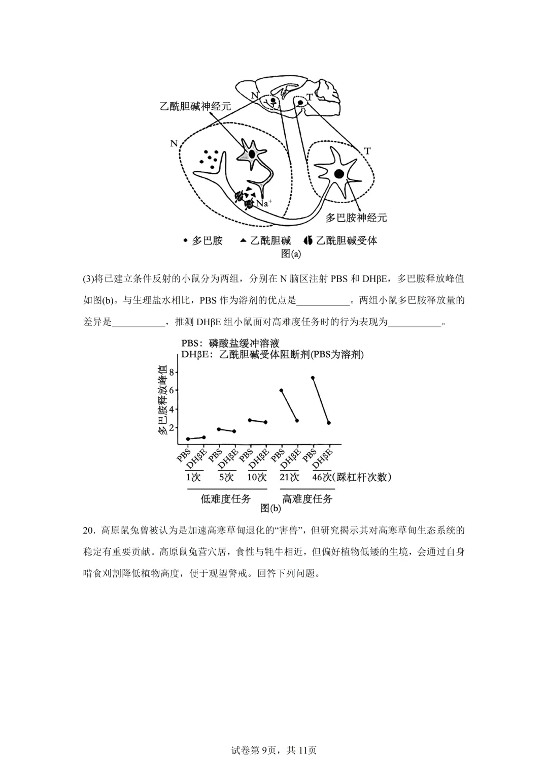 高考真题|2026年陕西省高考生物试卷(含解析)-第9张图片-四季读书网