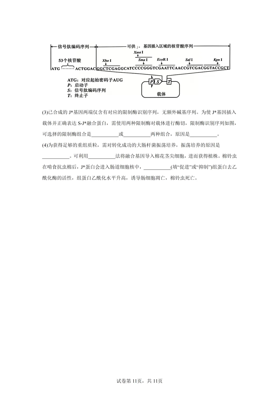 高考真题|2026年陕西省高考生物试卷(含解析)-第11张图片-四季读书网