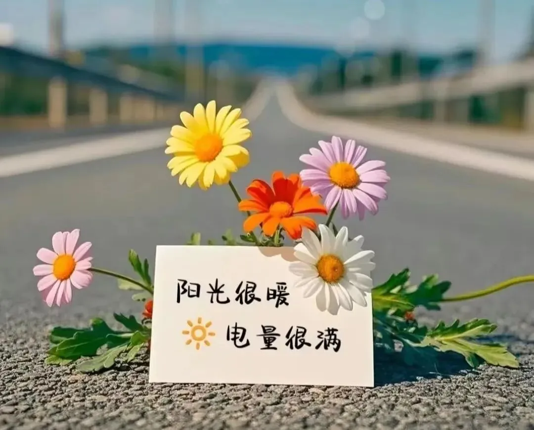 考卷上演穿越剧:关于云南中考历史试卷背景材料史实错误的始末与深思.-第3张图片-四季读书网 考卷上演穿越剧:关于云南中考历史试卷背景材料史实错误的始末与深思.-第3张图片-四季读书网