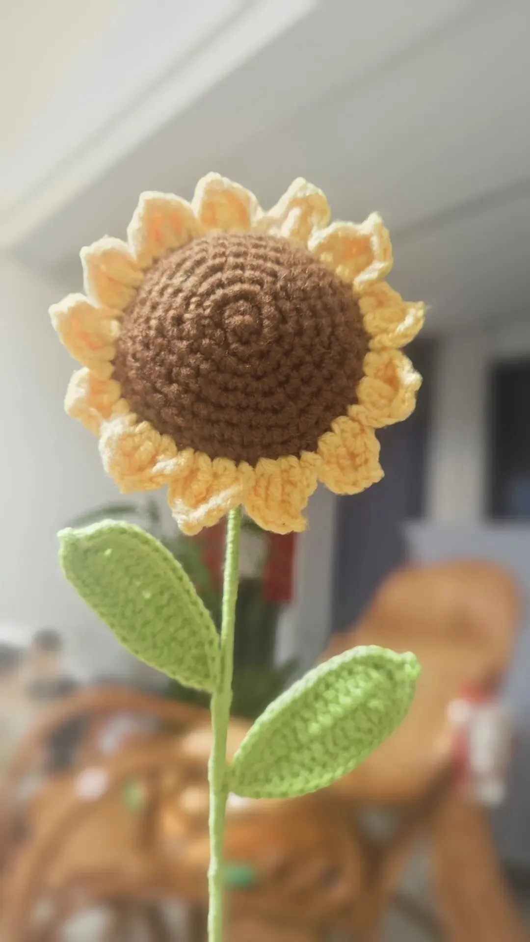 中考加油 向阳花一举夺魁-第2张图片-四季读书网 中考加油 向阳花一举夺魁-第2张图片-四季读书网