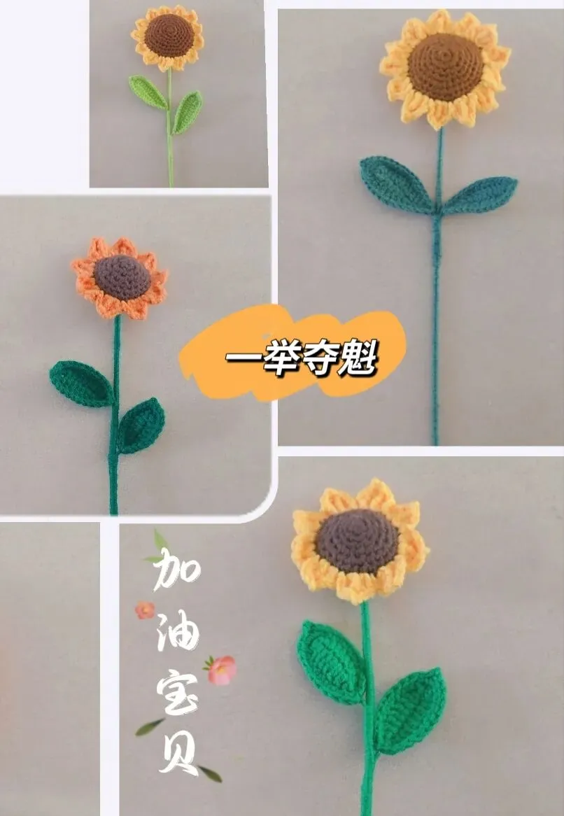 中考加油 向阳花一举夺魁-第3张图片-四季读书网 中考加油 向阳花一举夺魁-第3张图片-四季读书网