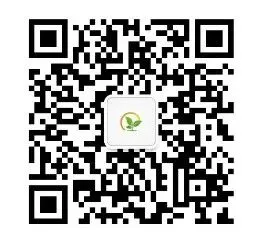 (人教版)小学三年级下语文期末试卷(三)/(三)-第17张图片-四季读书网