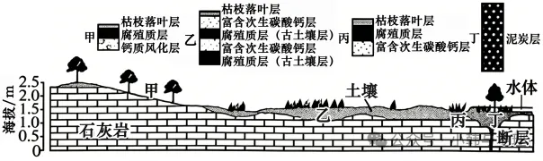 2026年高考山东卷地理真题及参考答案-第5张图片-四季读书网 2026年高考山东卷地理真题及参考答案-第5张图片-四季读书网
