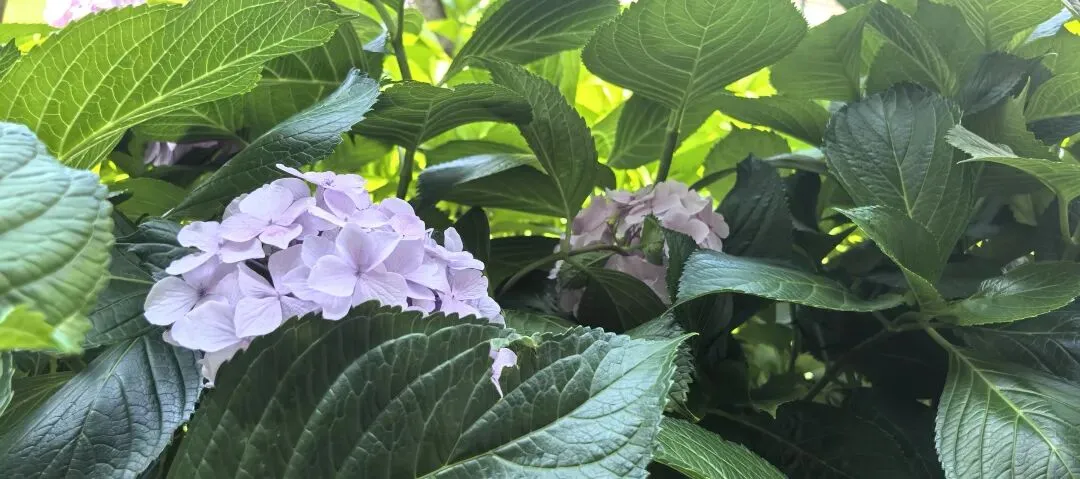 中考有这么重要吗?-第3张图片-四季读书网