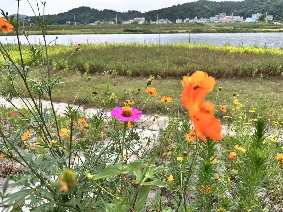 合肥市庐江县八下期末数学试卷及答案-第11张图片-四季读书网