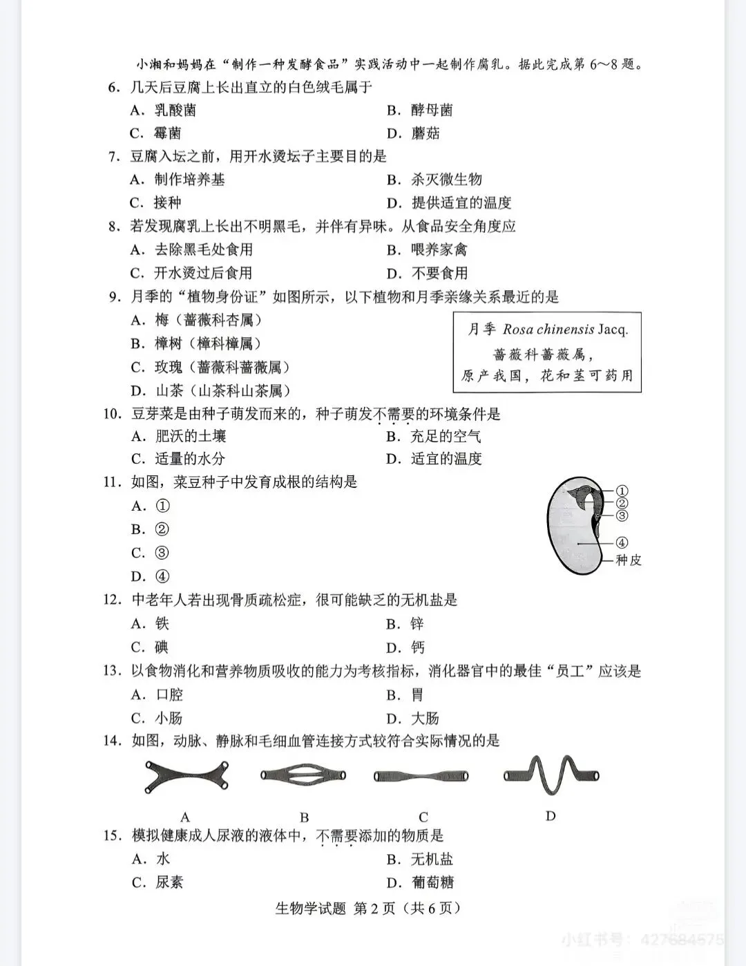 9科全!2026年湖南中考真题及答案-第76张图片-四季读书网 9科全!2026年湖南中考真题及答案-第76张图片-四季读书网