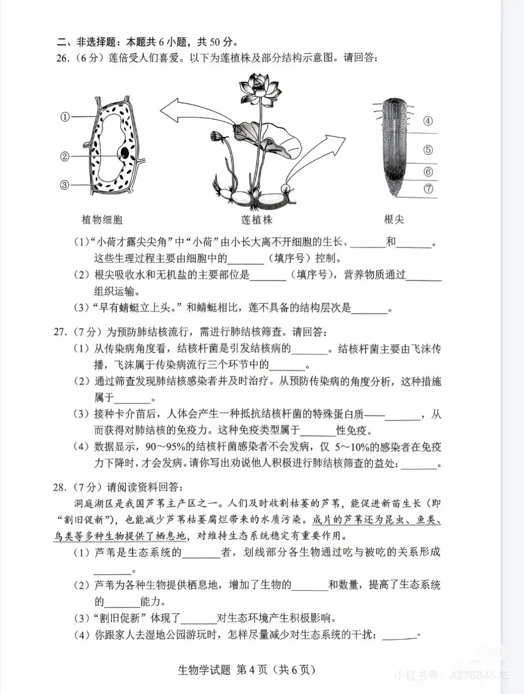 9科全!2026年湖南中考真题及答案-第78张图片-四季读书网 9科全!2026年湖南中考真题及答案-第78张图片-四季读书网
