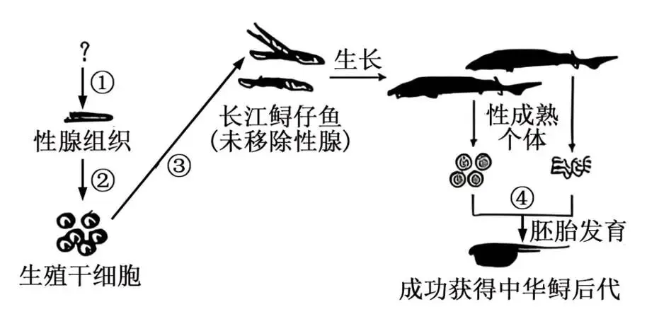 2026年广东省  生物学高考真题 文后附下载链接-第7张图片-四季读书网