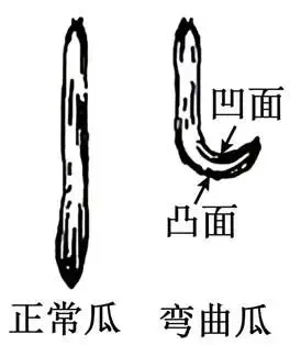 2026年广东省  生物学高考真题 文后附下载链接-第9张图片-四季读书网
