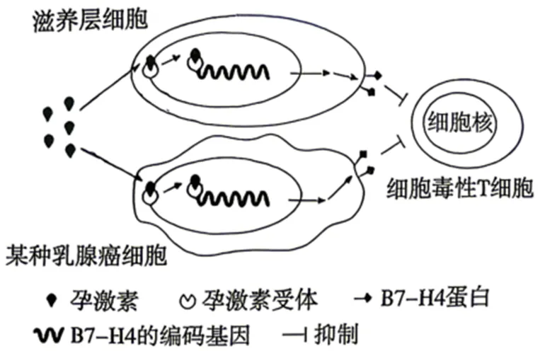 2026年广东省  生物学高考真题 文后附下载链接-第10张图片-四季读书网