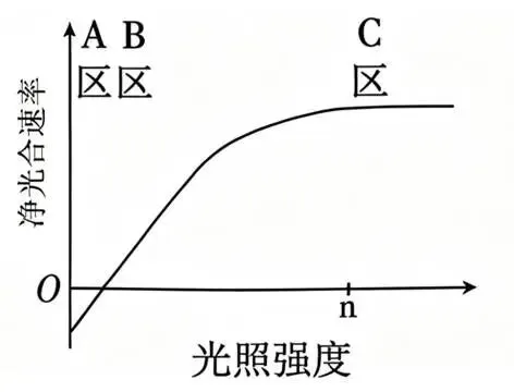 2026年广东省  生物学高考真题 文后附下载链接-第12张图片-四季读书网