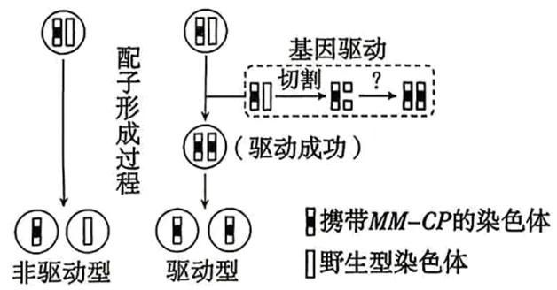 2026年广东省  生物学高考真题 文后附下载链接-第16张图片-四季读书网
