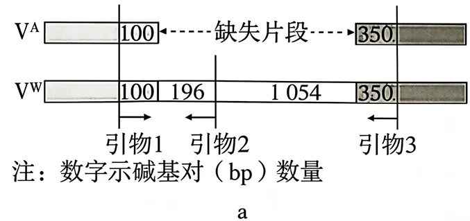 2026年广东省  生物学高考真题 文后附下载链接-第17张图片-四季读书网