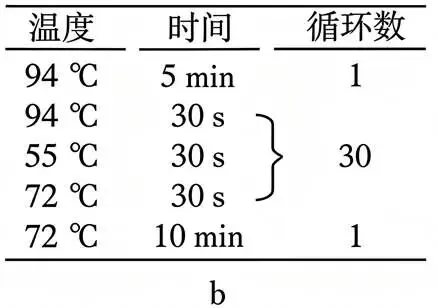 2026年广东省  生物学高考真题 文后附下载链接-第18张图片-四季读书网