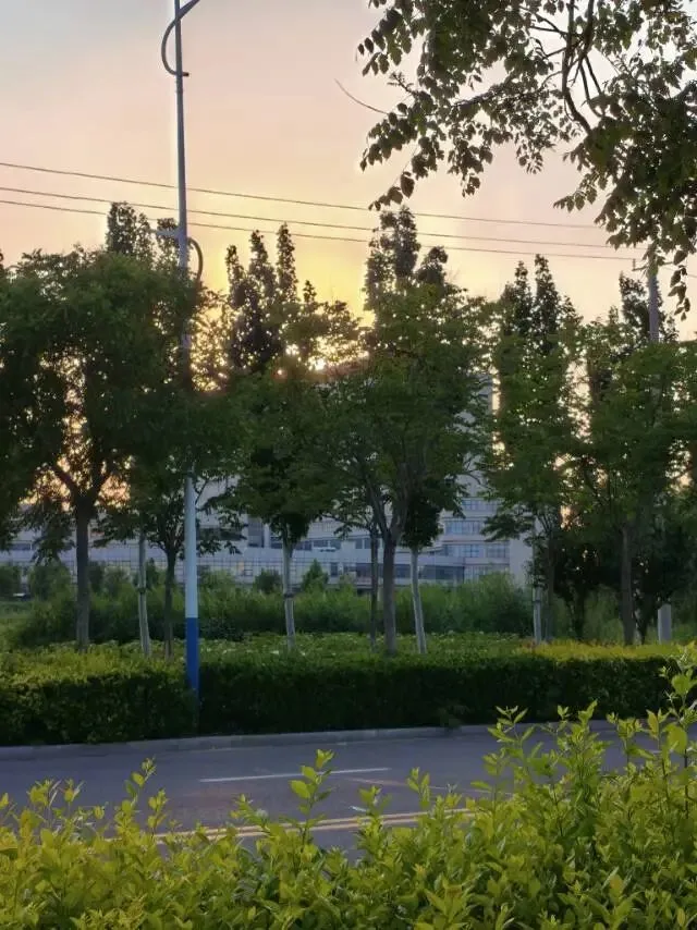 26真题:游客擅闯灾害区,该不该被罚款?-第1张图片-四季读书网