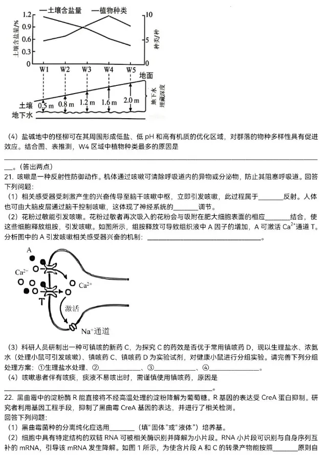 合集【九科】!2026年河北省高考真题及答案-第49张图片-四季读书网 合集【九科】!2026年河北省高考真题及答案-第49张图片-四季读书网