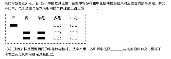合集【九科】!2026年河北省高考真题及答案-第51张图片-四季读书网 合集【九科】!2026年河北省高考真题及答案-第51张图片-四季读书网