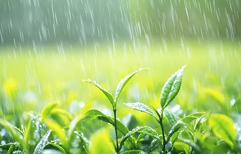 中考第二天晴热在线,晚间新一轮降雨来袭-第3张图片-四季读书网