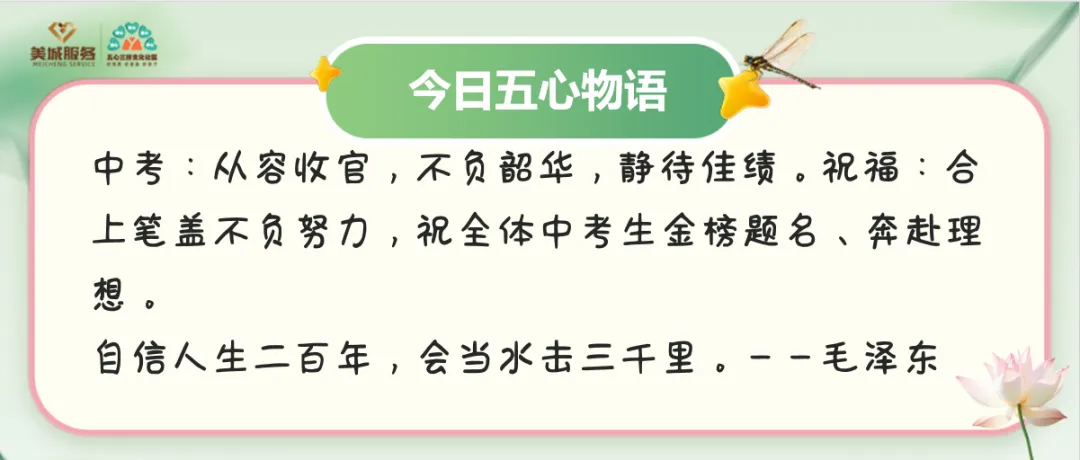 夏日·暖心物语 中考收官-第1张图片-四季读书网