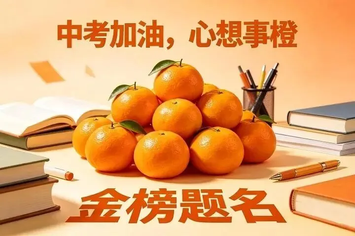中考加油| 红运当头,橙心如愿!林埭中学中考现场:这抹“送考红”和满园“祝福橙”,是今夏最燃的告白-第4张图片-四季读书网