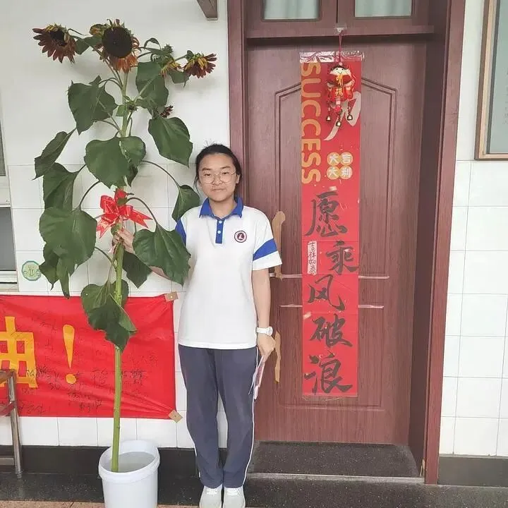 中考加油| 红运当头,橙心如愿!林埭中学中考现场:这抹“送考红”和满园“祝福橙”,是今夏最燃的告白-第30张图片-四季读书网