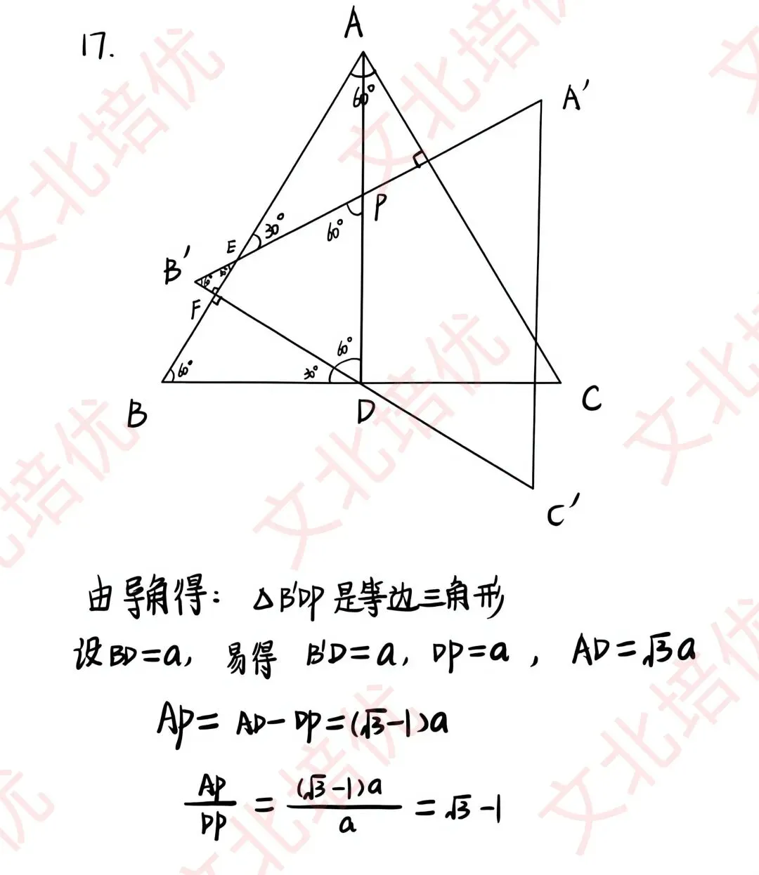 上海中考数学试卷回忆版(全)-第9张图片-四季读书网