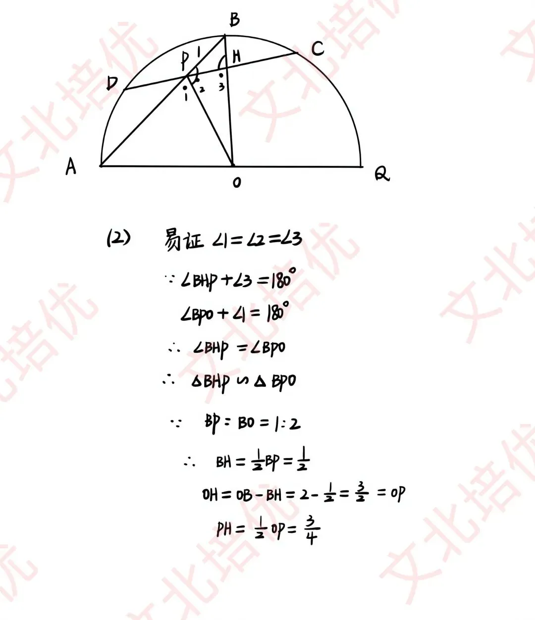 上海中考数学试卷回忆版(全)-第13张图片-四季读书网