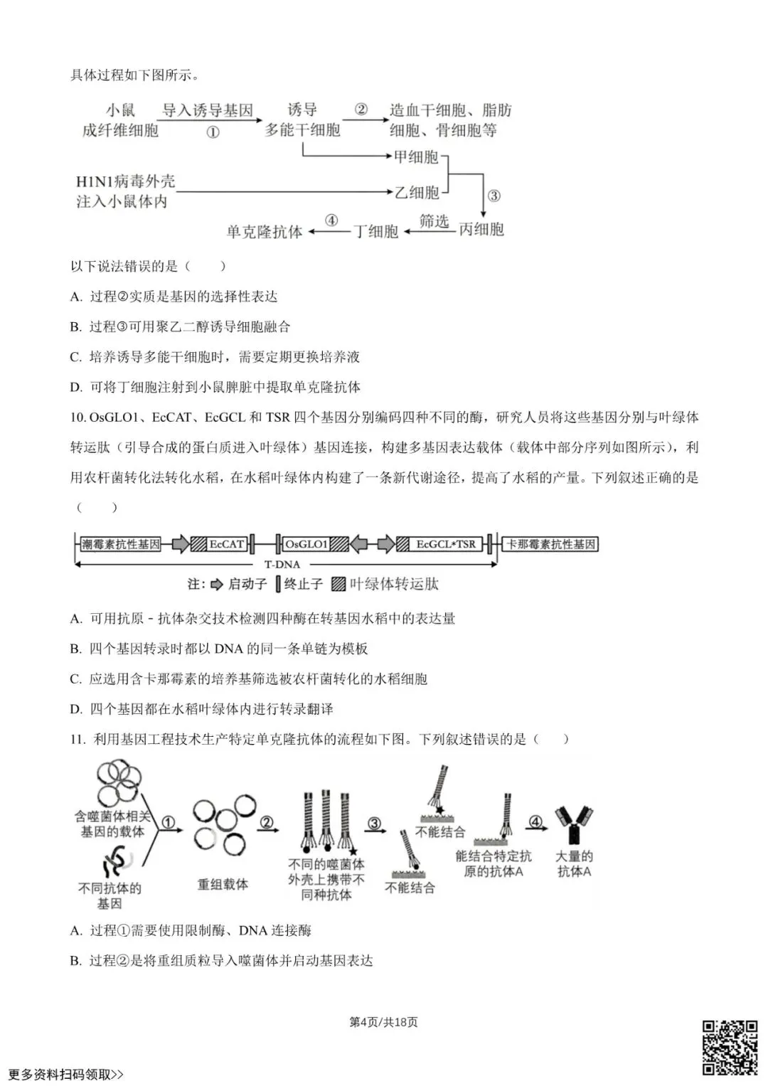 2026北京中学高二6月月考生物试卷(含答案)-第4张图片-四季读书网 2026北京中学高二6月月考生物试卷(含答案)-第4张图片-四季读书网
