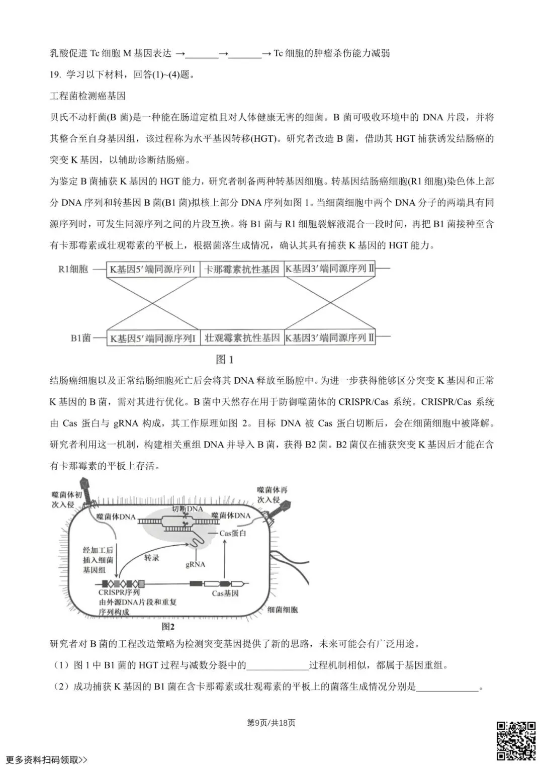 2026北京中学高二6月月考生物试卷(含答案)-第9张图片-四季读书网 2026北京中学高二6月月考生物试卷(含答案)-第9张图片-四季读书网