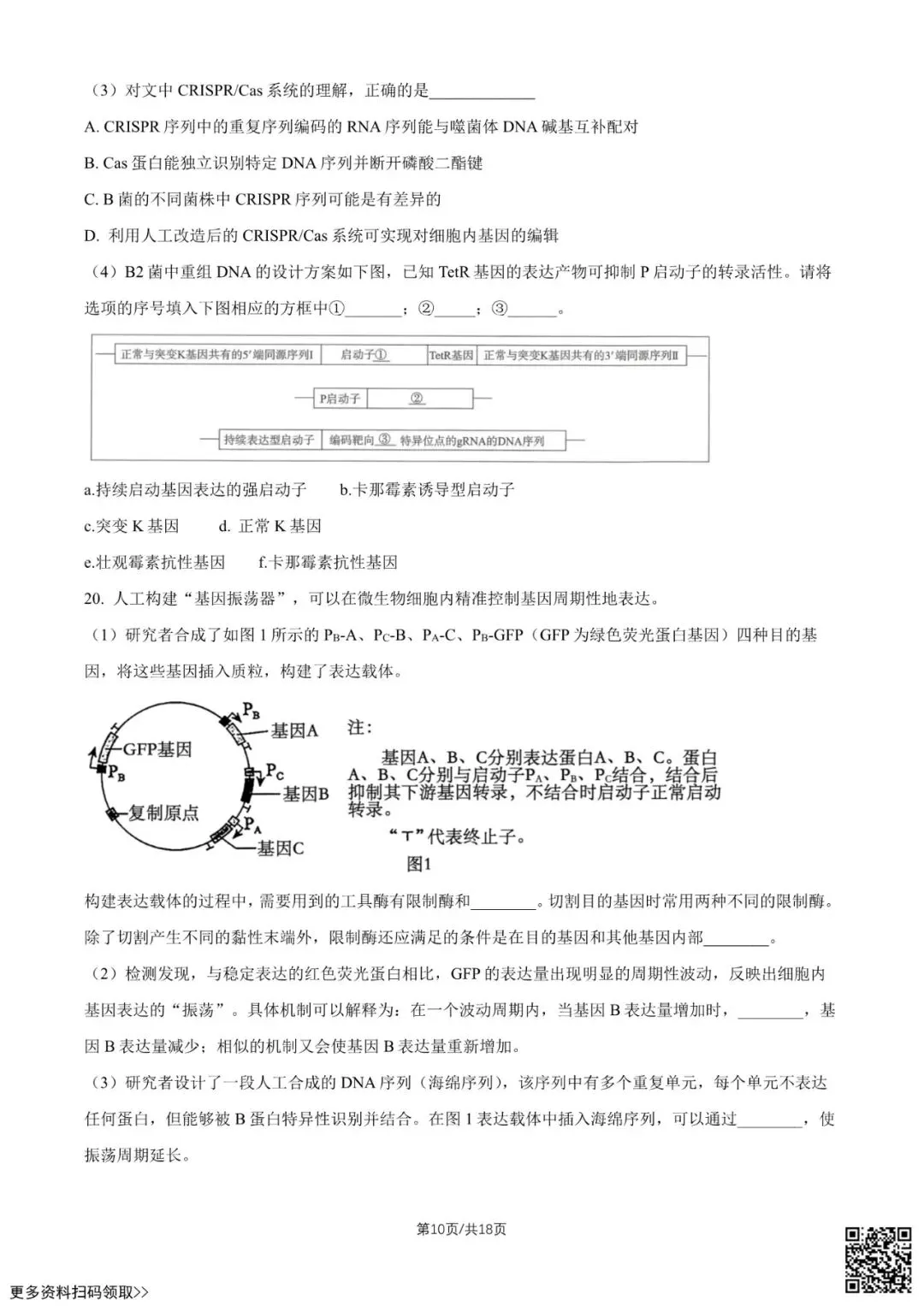2026北京中学高二6月月考生物试卷(含答案)-第10张图片-四季读书网 2026北京中学高二6月月考生物试卷(含答案)-第10张图片-四季读书网