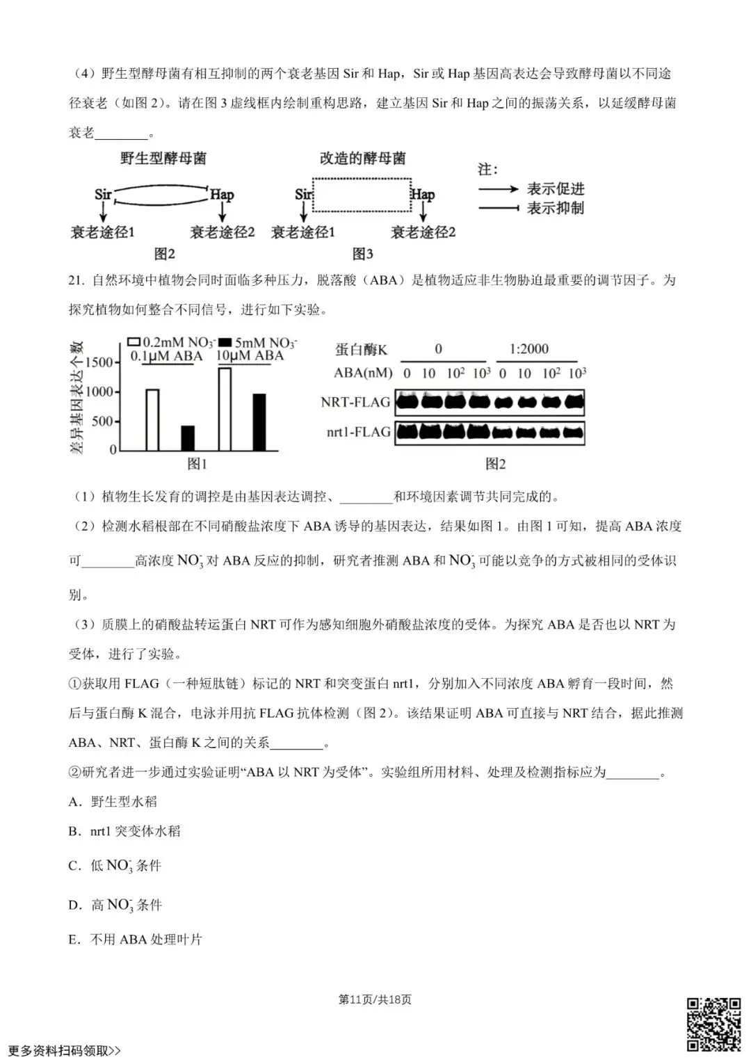 2026北京中学高二6月月考生物试卷(含答案)-第11张图片-四季读书网 2026北京中学高二6月月考生物试卷(含答案)-第11张图片-四季读书网