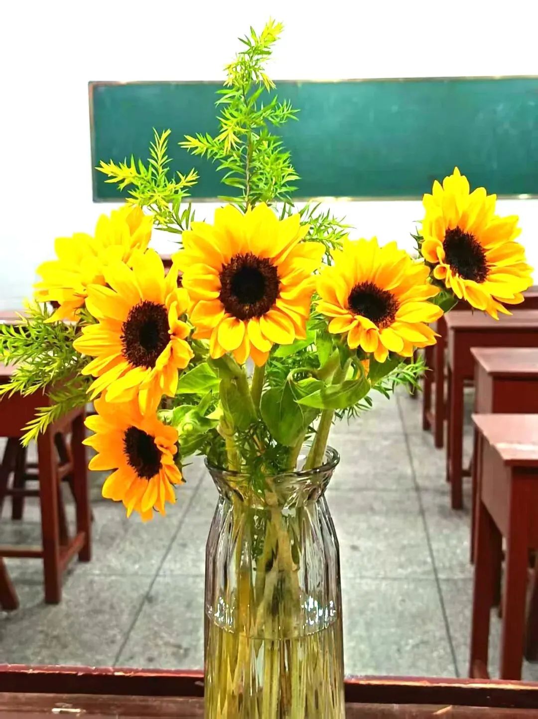 【中考温馨提示】从容赴考,静待花开 !中考考前安排及家长暖心须知-第5张图片-四季读书网 【中考温馨提示】从容赴考,静待花开 !中考考前安排及家长暖心须知-第5张图片-四季读书网