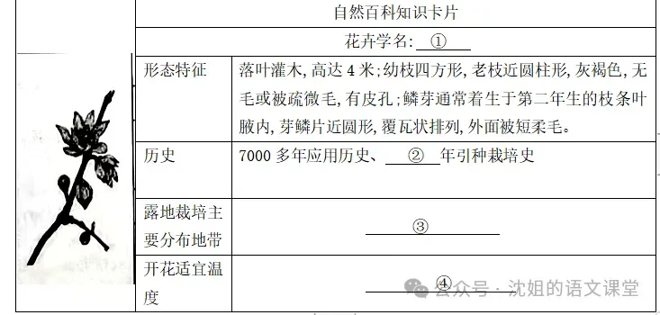 【冲刺期末02】七年级下册期末语文试卷(含答案)抓紧练!2026年6月-第3张图片-四季读书网