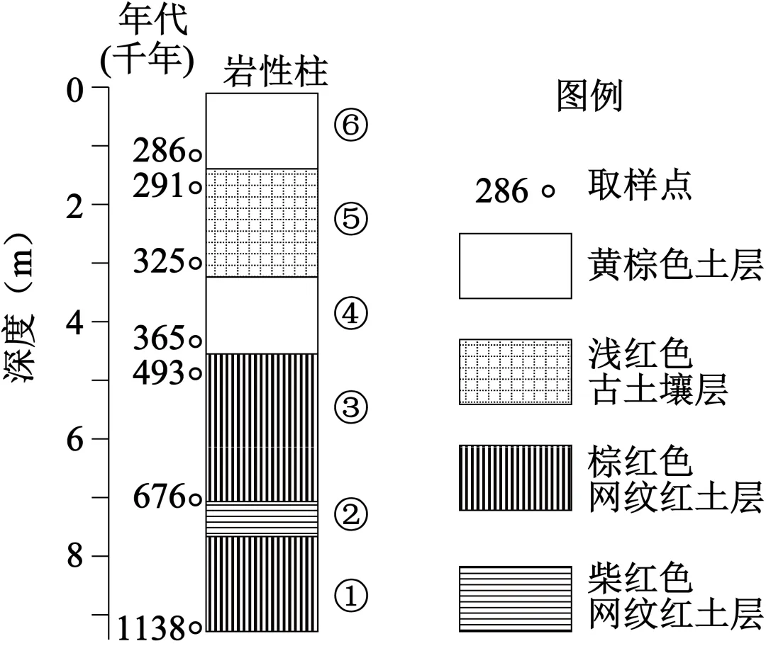 山东聊城市2026年普通高中学业水平等级考试模拟卷地理(二)-第7张图片-四季读书网 山东聊城市2026年普通高中学业水平等级考试模拟卷地理(二)-第7张图片-四季读书网