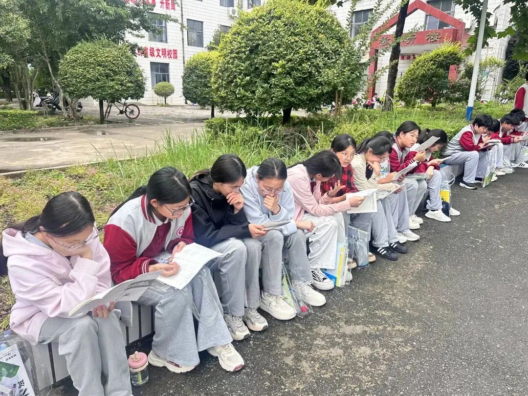 落笔生花,不负韶华|致全体中考学子的首日祝福!-第16张图片-四季读书网 落笔生花,不负韶华|致全体中考学子的首日祝福!-第16张图片-四季读书网