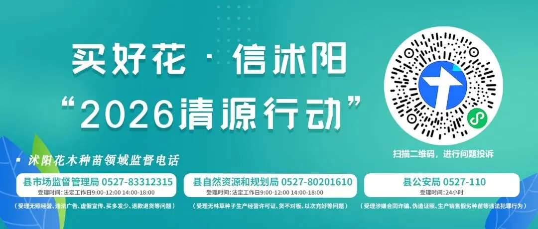 中考,收官!-第19张图片-四季读书网