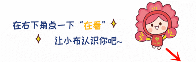 中考,收官!-第20张图片-四季读书网