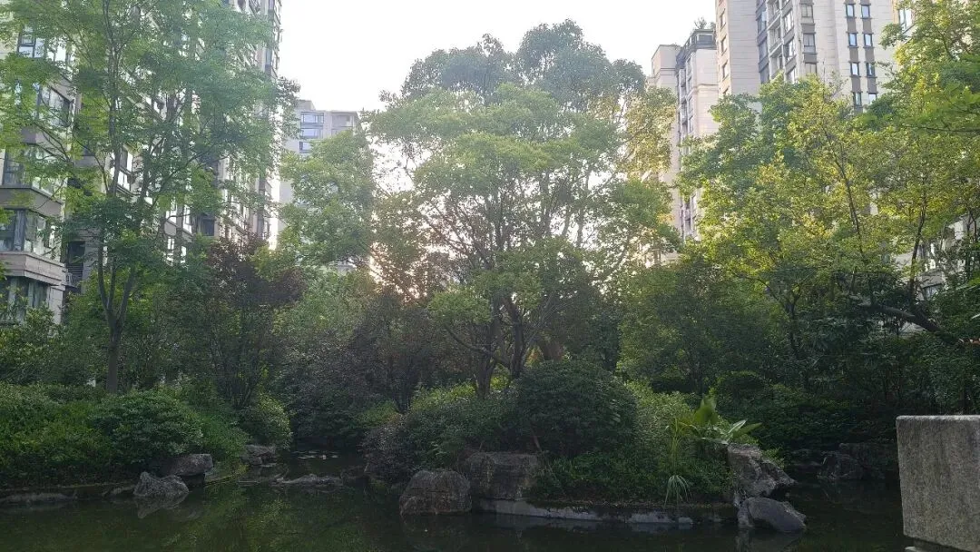 中考结束,可以心无杂念的练功了-第8张图片-四季读书网 中考结束,可以心无杂念的练功了-第8张图片-四季读书网