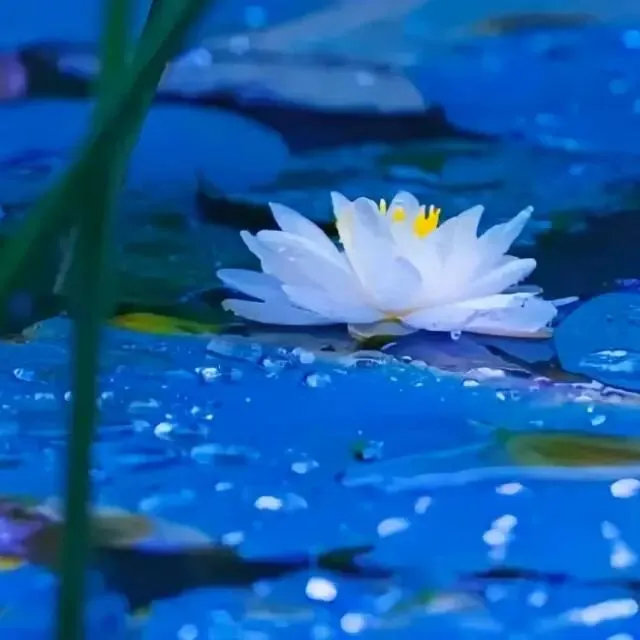 中考夏至父亲节丨我突然很想念我爸-第4张图片-四季读书网 中考夏至父亲节丨我突然很想念我爸-第4张图片-四季读书网