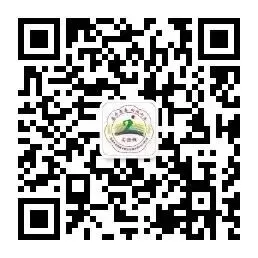 塑料袋变战袍,试卷成披风!环保时装秀,太炫了!-第44张图片-四季读书网
