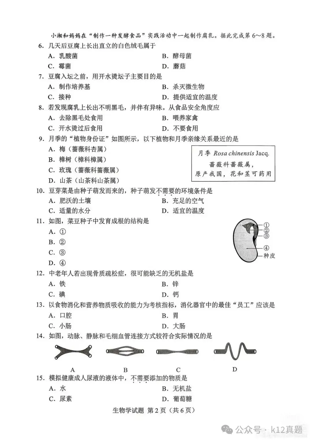 中考真题原卷:湖南省2026年中考全9学科试题(无答案)-第74张图片-四季读书网 中考真题原卷:湖南省2026年中考全9学科试题(无答案)-第74张图片-四季读书网