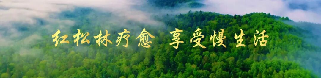 中考专项天气预报-第5张图片-四季读书网 中考专项天气预报-第5张图片-四季读书网