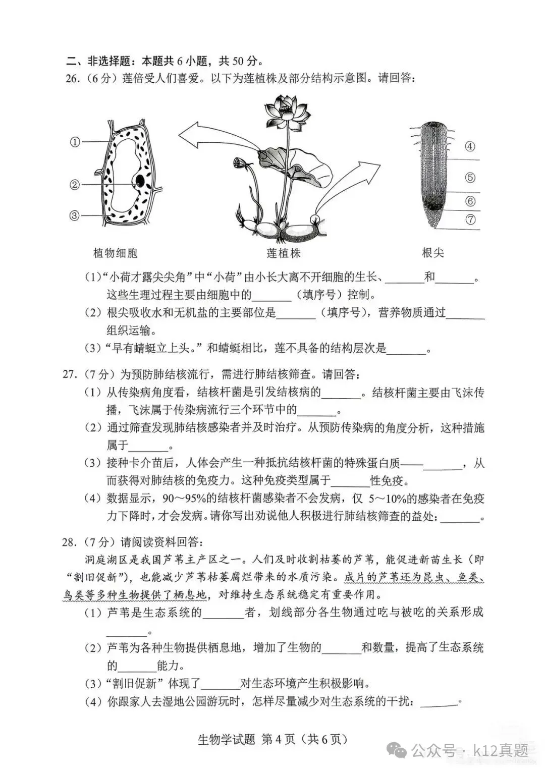 中考真题原卷:湖南省2026年中考全9学科试题(无答案)-第76张图片-四季读书网 中考真题原卷:湖南省2026年中考全9学科试题(无答案)-第76张图片-四季读书网