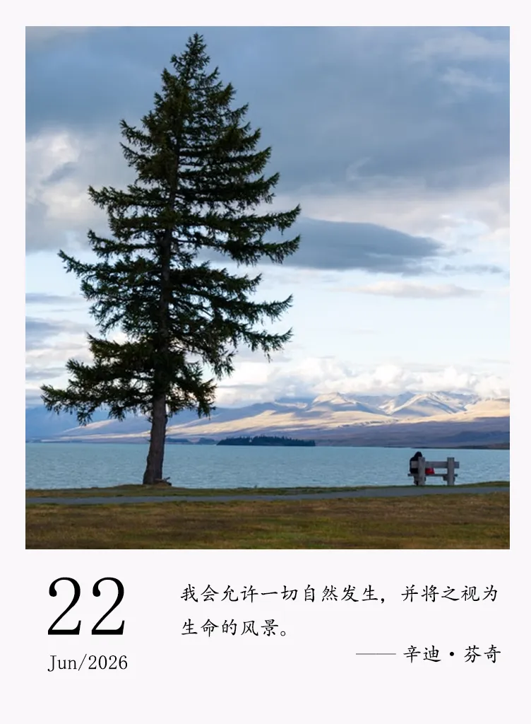 把人生当成风景看,而不是当成试卷答-第1张图片-四季读书网 把人生当成风景看,而不是当成试卷答-第1张图片-四季读书网