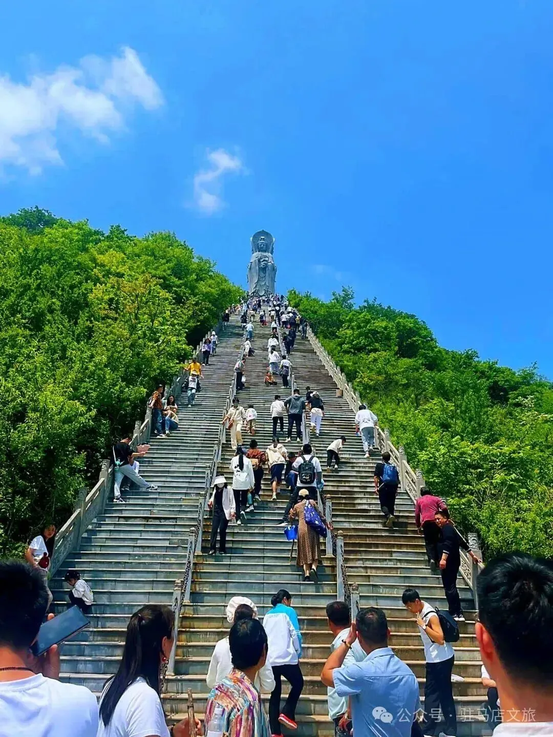 今日中考,祝所有考生金榜题名!-第4张图片-四季读书网 今日中考,祝所有考生金榜题名!-第4张图片-四季读书网