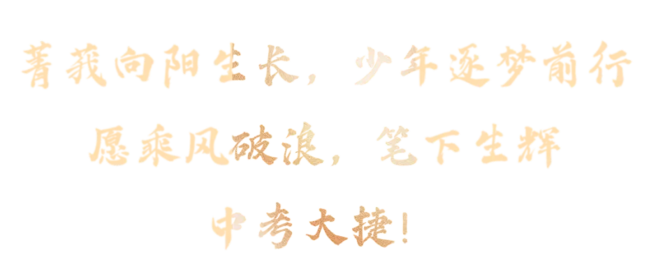 菁菁者莪,落笔荣光|中考首日,为少年的全力以赴加油!-第45张图片-四季读书网