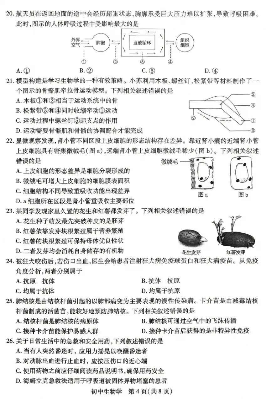 中考真题速递:2026江苏苏州学业水平考试生物学试卷+参考答案 有pdf文档-第5张图片-四季读书网 中考真题速递:2026江苏苏州学业水平考试生物学试卷+参考答案 有pdf文档-第5张图片-四季读书网